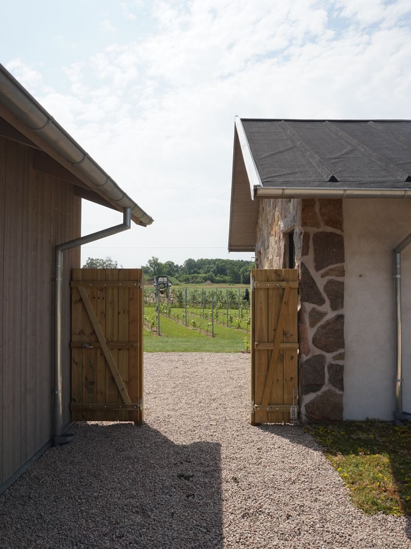 Fritidshus Torekov II — Vingård